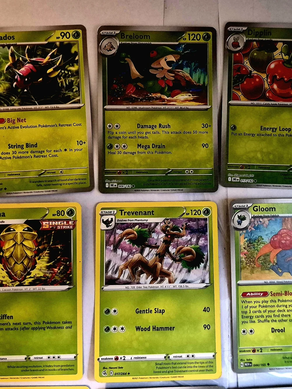 Pokémon Card Lot 100+ Grass Type Bundle Teal Mask Ogerpon ex Cyclizar